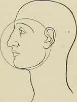 An illustration from Die Röntgentechnik : Lehrbuch für Ärzte und Studierende (1906)