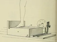 An illustration from Die Röntgentechnik : Lehrbuch für Ärzte und Studierende (1906)