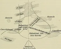 Picture 128 of 145 from Die Röntgentechnik : Lehrbuch für Ärzte und Studierende (1906), leaf 396