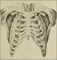 Picture 130 of 145 from Die Röntgentechnik : Lehrbuch für Ärzte und Studierende (1906), leaf 404