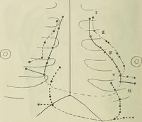 An illustration from Die Röntgentechnik : Lehrbuch für Ärzte und Studierende (1906)