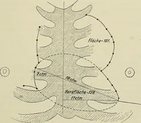 Picture 133 of 145 from Die Röntgentechnik : Lehrbuch für Ärzte und Studierende (1906), leaf 408