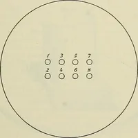 An illustration from Die Röntgentechnik : Lehrbuch für Ärzte und Studierende (1906)