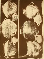 An illustration from Die Sammlungen des Kaukasischen Museums (1902)