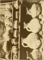 An illustration from Die Sammlungen des Kaukasischen Museums (1902)