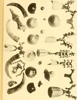 An illustration from Die Sammlungen des Kaukasischen Museums (1902)