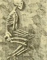 An illustration from Die Sammlungen des Kaukasischen Museums (1902)