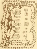 An illustration from Die Sammlungen des Kaukasischen Museums (1902)
