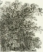An illustration from Die schöne Landbaukunst, oder, Neue Ideen und Vorschriften zu Landgebäuden, Landhäusern und Oekonomie-Gebäuden im gefälligen : Ideen zu Gebäuden für öffentliche und Privatbelustigungen, ingleichen zu Gebäuden im ernsthaftern aber edlen Style, in Grundrissen, Aufrissen und Durchschnitten (1798)