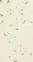 An illustration from Die Schwefelfarbstoffe; ihre Herstellung und Verwendung (1912)