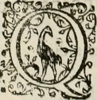 An illustration from Dies natalis serenissimi infantis et principis Boiorum, Maximiliana Emanuelis favoribus sanctorum, heroum crepundiis, et votis Patrum S.I. coronatus : in solemnibus baptismalibus (1662)