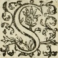 An illustration from Dies natalis serenissimi infantis et principis Boiorum, Maximiliana Emanuelis favoribus sanctorum, heroum crepundiis, et votis Patrum S.I. coronatus : in solemnibus baptismalibus (1662)