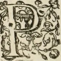 An illustration from Dies natalis serenissimi infantis et principis Boiorum, Maximiliana Emanuelis favoribus sanctorum, heroum crepundiis, et votis Patrum S.I. coronatus : in solemnibus baptismalibus (1662)