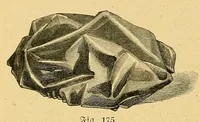 Picture 3 of 18 from Die tüchtige Hausfrau; ein praktisches Nachschlagebuch .. (1913), leaf 176
