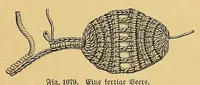 Picture 14 of 18 from Die tüchtige Hausfrau; ein praktisches Nachschlagebuch .. (1913), leaf 515