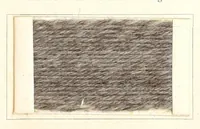 An illustration from Die Teerfarbstoffe der Farbwerke vorm. Meister Lucius & Brüning, Hoechst a.M. auf dem Gebiete der Wollfärberei (1908)