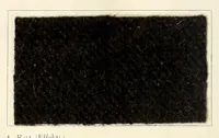 An illustration from Die Teerfarbstoffe der Farbwerke vorm. Meister Lucius & Brüning, Hoechst a.M. auf dem Gebiete der Wollfärberei (1908)