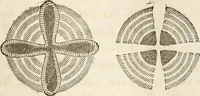 Picture 51 of 117 from Die Theorie des Sehens und räumlichen Vorstellens, vom physikalischen, physiologischen und psychologischen Standpunkte (1861), leaf 195
