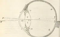 An illustration from Die Theorie des Sehens und räumlichen Vorstellens, vom physikalischen, physiologischen und psychologischen Standpunkte (1861)