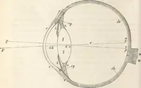An illustration from Die Theorie des Sehens und räumlichen Vorstellens, vom physikalischen, physiologischen und psychologischen Standpunkte (1861)