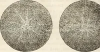 An illustration from Die Theorie des Sehens und räumlichen Vorstellens, vom physikalischen, physiologischen und psychologischen Standpunkte (1861)