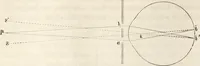 Picture 68 of 117 from Die Theorie des Sehens und räumlichen Vorstellens, vom physikalischen, physiologischen und psychologischen Standpunkte (1861), leaf 266