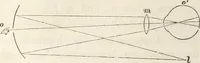 Picture 71 of 117 from Die Theorie des Sehens und räumlichen Vorstellens, vom physikalischen, physiologischen und psychologischen Standpunkte (1861), leaf 278