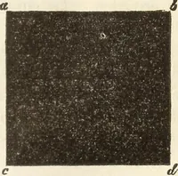 An illustration from Die Theorie des Sehens und räumlichen Vorstellens, vom physikalischen, physiologischen und psychologischen Standpunkte (1861)