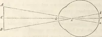 Picture 81 of 117 from Die Theorie des Sehens und räumlichen Vorstellens, vom physikalischen, physiologischen und psychologischen Standpunkte (1861), leaf 318