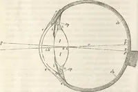 Picture 90 of 117 from Die Theorie des Sehens und räumlichen Vorstellens, vom physikalischen, physiologischen und psychologischen Standpunkte (1861), leaf 362