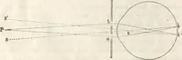 Picture 92 of 117 from Die Theorie des Sehens und räumlichen Vorstellens, vom physikalischen, physiologischen und psychologischen Standpunkte (1861), leaf 364