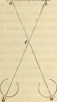 Picture 114 of 117 from Die Theorie des Sehens und räumlichen Vorstellens, vom physikalischen, physiologischen und psychologischen Standpunkte (1861), leaf 695