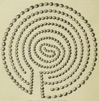 An illustration from Die Trojaburgen Nordeuropas : ihr Zusammenhang mit der indogermanischen Trojasage von der entführten und gefangenen Sonnenfrau (Syrith, Brunhild, Ariadne, Helena) : den Trojaspielen, Schwert- und Labyrinthtänzen zur Feier ihrer Lenzbefreiung (1893)