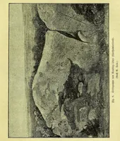 An illustration from Die Trojaburgen Nordeuropas : ihr Zusammenhang mit der indogermanischen Trojasage von der entführten und gefangenen Sonnenfrau (Syrith, Brunhild, Ariadne, Helena) : den Trojaspielen, Schwert- und Labyrinthtänzen zur Feier ihrer Lenzbefreiung (1893)
