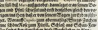 An illustration from Die überwindende Liebe : praesentiret und dargestellet durch ein künstliches Fewr-Werck welches bey hochfürstlicher Häimbführung des durchleuchtigsten Fürsten und Herrn, Herrn Johann Friederichs, Hertzogen zu Braunschweig und Lüneburg [et]c. hoch und hertzgeliebten Gemahlin, der durchleuchtigsten Fürstin und Frauen, Frauen Benedicta Henrietta Philippina, Pfaltz-Gräfin bey Rhein [et]c. glücklichen verbrand worden, zu Hannover den 8. Novembr. nachts umb 9. Uhr, im Jahr Christi 1668 (1668)