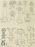 An illustration from Die Ursprungsformen des griechischen Akanthusornamentes und ihre naturlichen Vorbilder (1896)