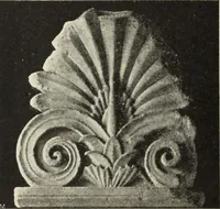 An illustration from Die Ursprungsformen des griechischen Akanthusornamentes und ihre naturlichen Vorbilder (1896)