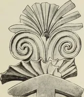 An illustration from Die Ursprungsformen des griechischen Akanthusornamentes und ihre naturlichen Vorbilder (1896)