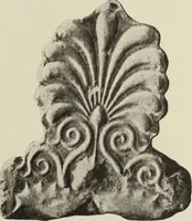 An illustration from Die Ursprungsformen des griechischen Akanthusornamentes und ihre naturlichen Vorbilder (1896)