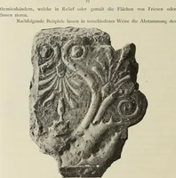 An illustration from Die Ursprungsformen des griechischen Akanthusornamentes und ihre naturlichen Vorbilder (1896)