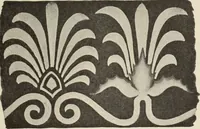 An illustration from Die Ursprungsformen des griechischen Akanthusornamentes und ihre naturlichen Vorbilder (1896)