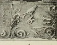 An illustration from Die Ursprungsformen des griechischen Akanthusornamentes und ihre naturlichen Vorbilder (1896)