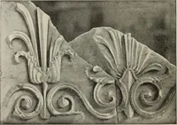 An illustration from Die Ursprungsformen des griechischen Akanthusornamentes und ihre naturlichen Vorbilder (1896)