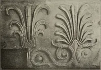 An illustration from Die Ursprungsformen des griechischen Akanthusornamentes und ihre naturlichen Vorbilder (1896)