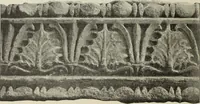 An illustration from Die Ursprungsformen des griechischen Akanthusornamentes und ihre naturlichen Vorbilder (1896)