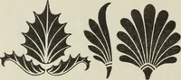 An illustration from Die Ursprungsformen des griechischen Akanthusornamentes und ihre naturlichen Vorbilder (1896)