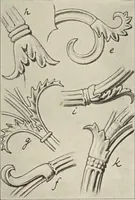 An illustration from Die Ursprungsformen des griechischen Akanthusornamentes und ihre naturlichen Vorbilder (1896)