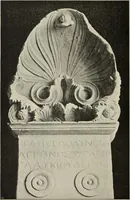An illustration from Die Ursprungsformen des griechischen Akanthusornamentes und ihre naturlichen Vorbilder (1896)