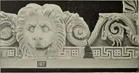 An illustration from Die Ursprungsformen des griechischen Akanthusornamentes und ihre naturlichen Vorbilder (1896)