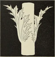 Picture 43 of 46 from Die Ursprungsformen des griechischen Akanthusornamentes und ihre naturlichen Vorbilder (1896), leaf 45